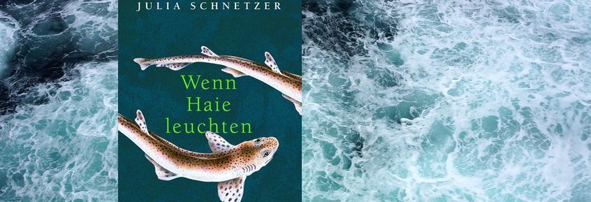 Buchtipp No75: Wenn Haie leuchten