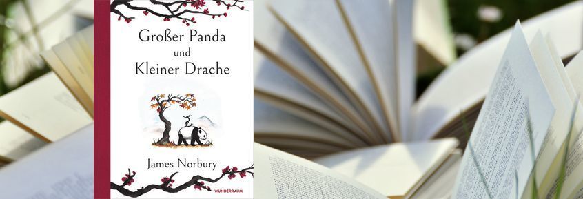 Buchtipp No134: Großer Panda und kleiner Drache