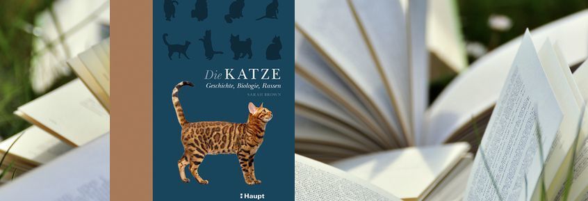 Buchtipp No166: Die Katze