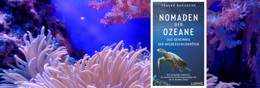 Buchtipps No36: Nomaden der Ozeane