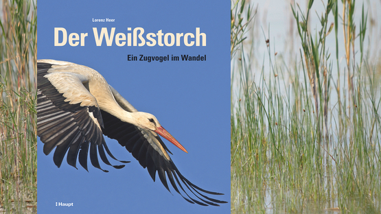 Sachbuch, Vögel, Storch, Zugvögel, Ökologie, Klimawandel, Lorenz Heer, Haupt Verlag, wikipetia.de - Petdoctors.at [09|05|24]