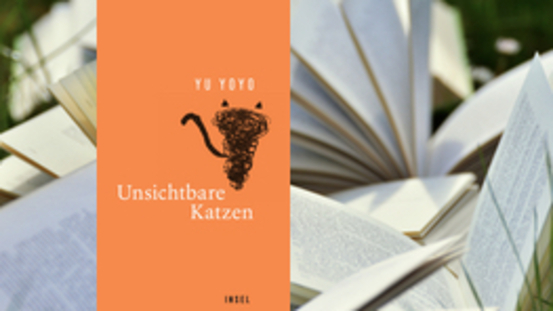 Buchtipp No26: Unsichtbare Katzen 