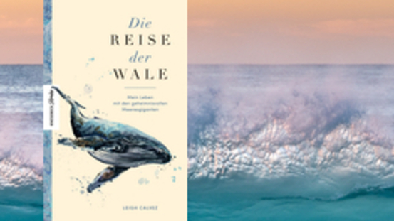 Buchtipp No28: Die Reise der Wale