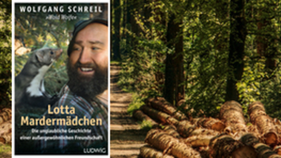 Buchtipp No30: Lotta Mardermädchen