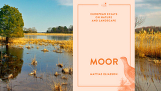 Buchtipp No34: Moor