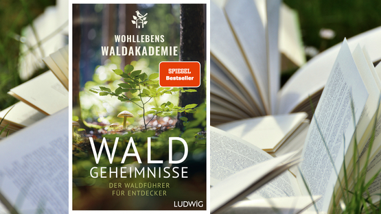 Buuchtipp, Sachbuch, Natur, Wald, Wohllebens Waldakademie, Verlag Ludwig - Petdoctors.at [15|07|24]