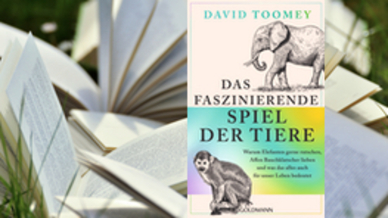 Buchtipp No45: Das faszinierende Spiel der Tiere