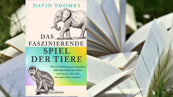 Buchtipp, Verhalten, Wildtiere, David Toomey, Verlag Goldmann, Penguin Random House - Petdoctors.at [27|08|24]