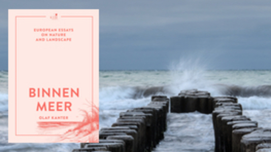 Buchtipp No50: Binnenmeer