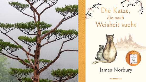 PetdoctorsChoice Buch, Illustrator und Schriftsteller  James Norbury, Verlag Goldmann, Wunderraum - News [02|10|24]