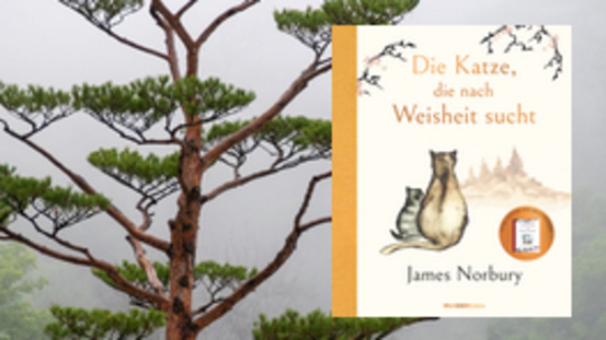 Buchtipp No51: Die Katze, die nach Weisheit sucht