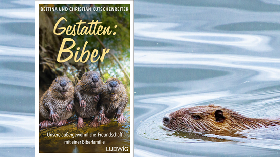 Sachbuch, Natur, Umwelt, Biber, Naturphotographie, Bettina und Christian Kutschenreiter,  Verlag: Ludwig [Penguin Random House]  - Petdoctors.at  [07|10|24]