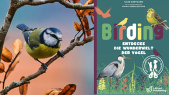 Buchtipp No54: Birding