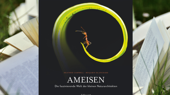 PetdoctorsChoice Buch, Sachbuch, Ameisen, Heather Campbell, Benjamin Blanchard, Haupt Verlag,