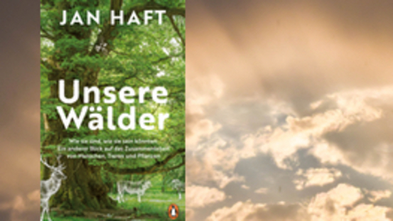 Buchtipp No60: Unsere Wälder